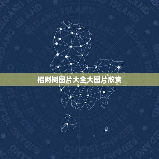 招财树图片大全大图片欣赏,发财树有几种图片? 招财树图片大全大图片欣赏,发财树有几种图片?
