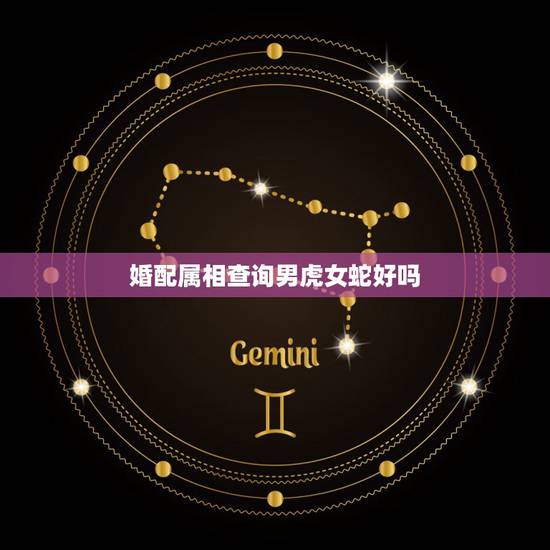 婚配属相查询男虎女蛇好吗，男虎女 蛇属相不合如何化解