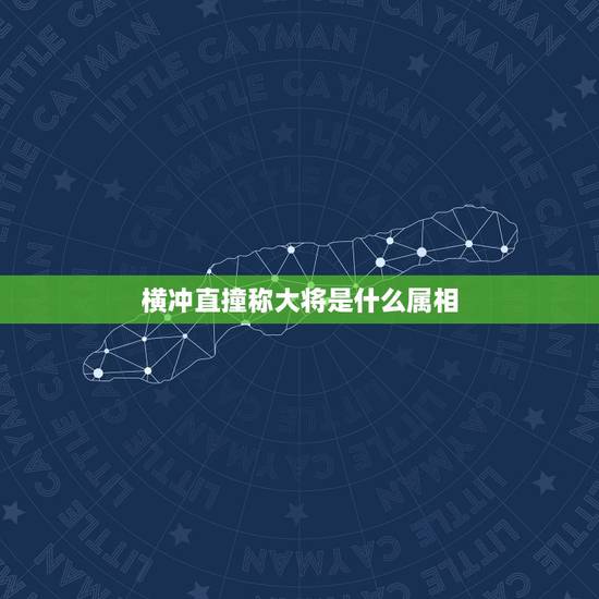 横冲直撞称大将是什么属相，横冲直撞称大将。猜一生肖