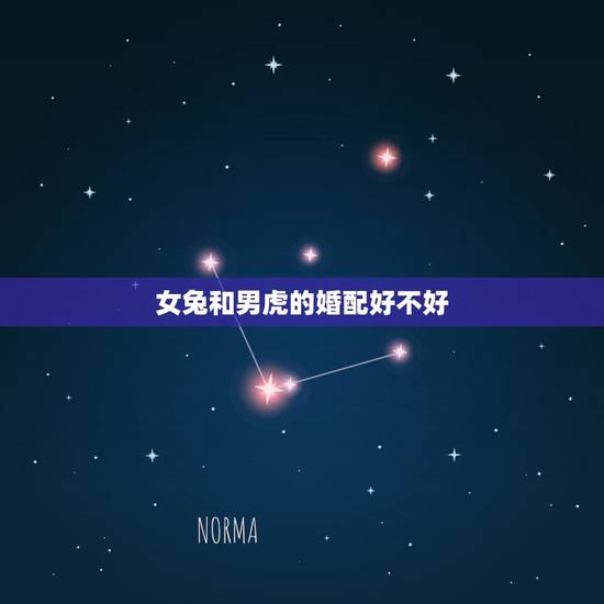 女兔和男虎的婚配好不好，1987年属兔几月出生好
