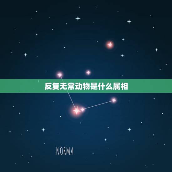 反复无常动物是什么属相,反复无常指什么动物 反复无常动物是什么属相,反复无常指什么动物