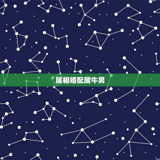 属相婚配属牛男，男属牛的和什么属相相配最佳 – 百度·