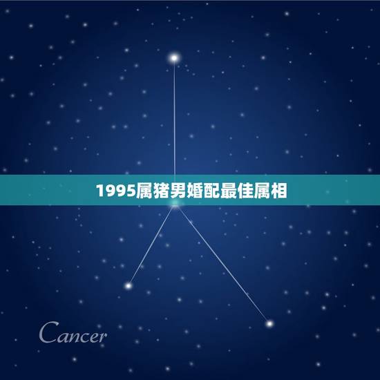 1995属猪男婚配最佳属相,95年属猪的最佳婚配 1995属猪男婚配最佳属相,95年属猪的最佳婚配
