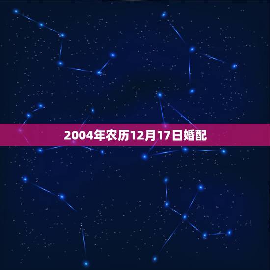 2004年农历12月17日婚配，算命 生辰八字2004年12月17日5