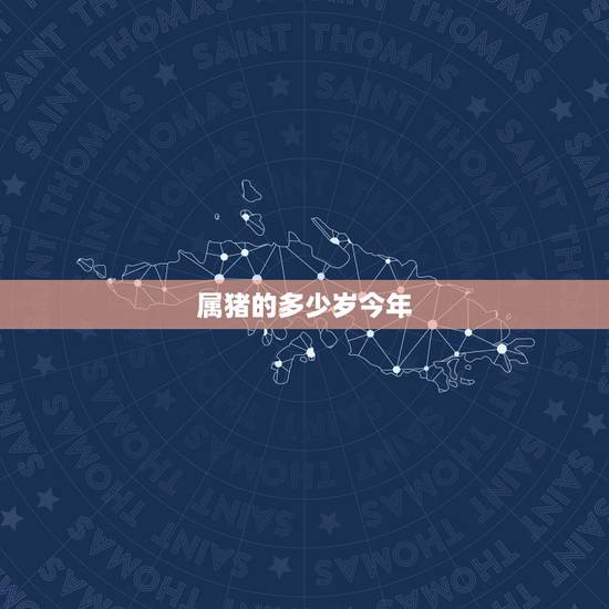 属猪的多少岁今年,属猪今年多大2022 虚岁 属猪的多少岁今年,属猪今年多大2022 虚岁