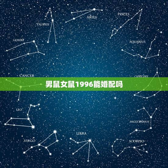 男鼠女鼠1996能婚配吗,两个属鼠的人结婚好吗 男鼠女鼠1996能婚配吗,两个属鼠的人结婚好吗