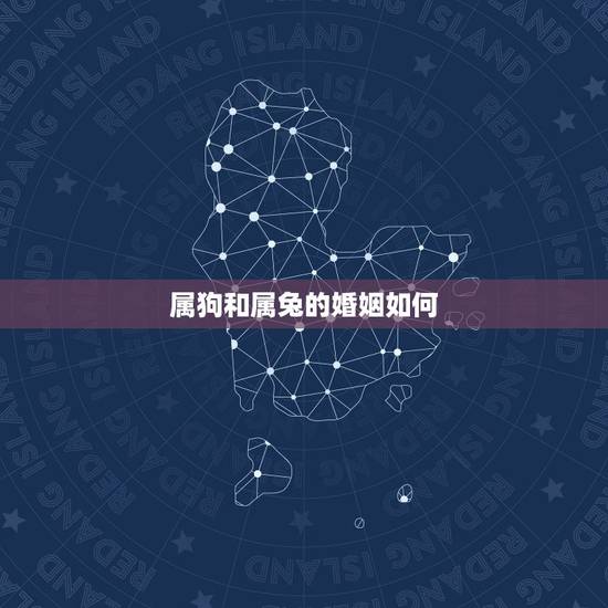 属狗和属兔的婚姻如何，狗为什么喜欢属兔