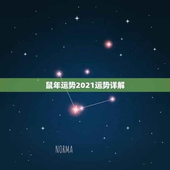 鼠年运势2021运势详解，1984年属鼠2021年运势