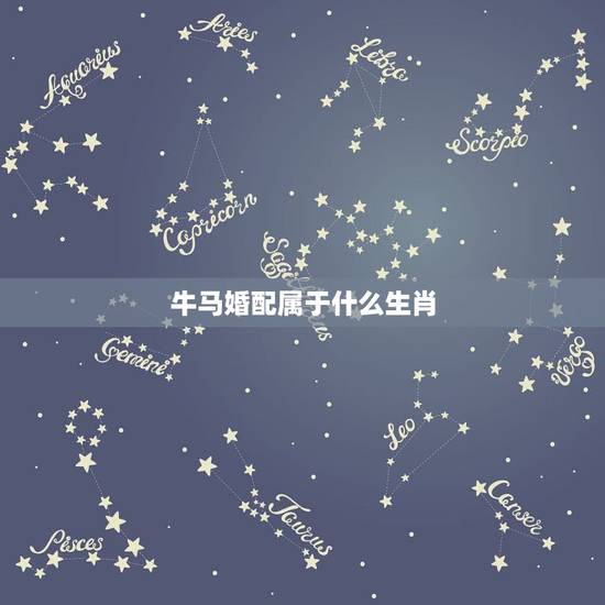 牛马婚配属于什么生肖，牛马属生肖相配吗？