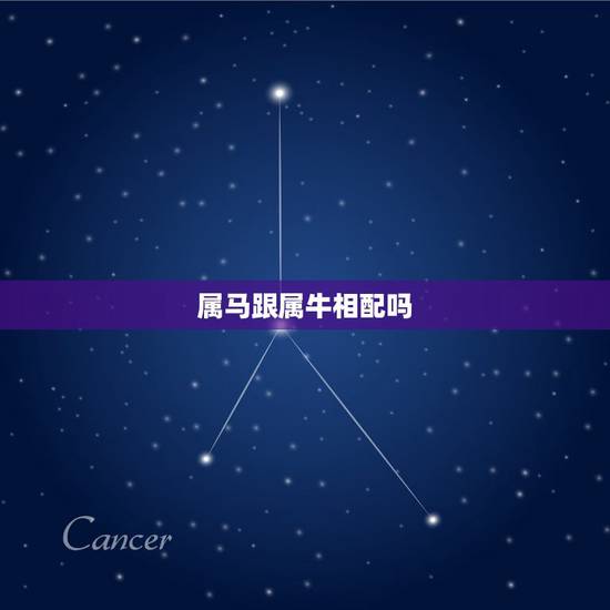 属马跟属牛相配吗，属马和牛相配婚姻如何