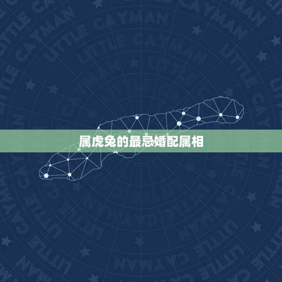 属虎兔的最忌婚配属相,属虎结婚忌哪三个属相 属虎兔的最忌婚配属相,属虎结婚忌哪三个属相