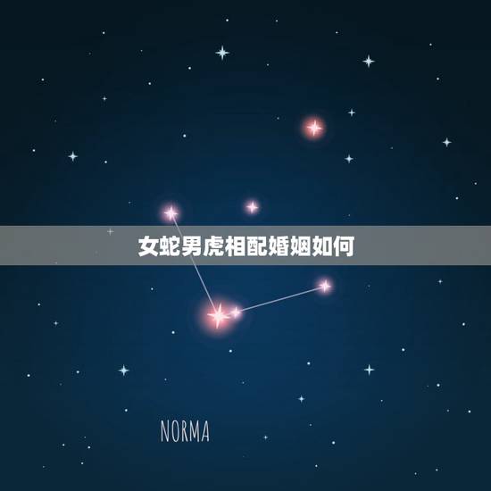 女蛇男虎相配婚姻如何,蛇配虎的婚姻怎么样 女蛇男虎相配婚姻如何,蛇配虎的婚姻怎么样