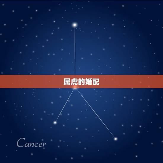 属虎的婚配，两人都属虎婚配和不和