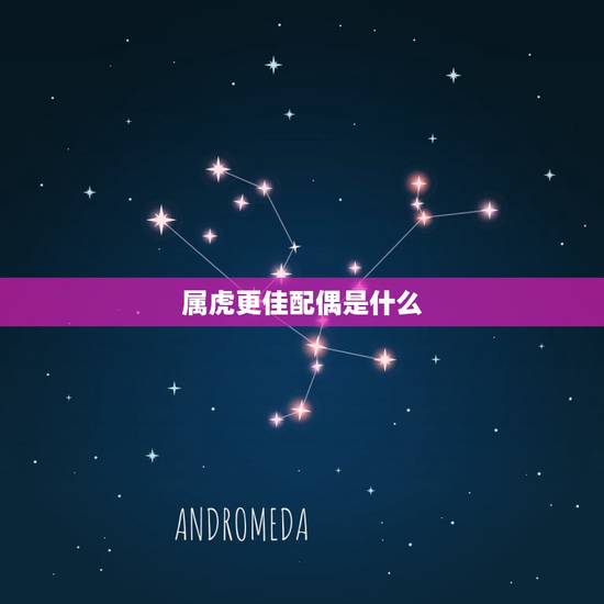 属虎更佳配偶是什么，属虎男更佳婚配
