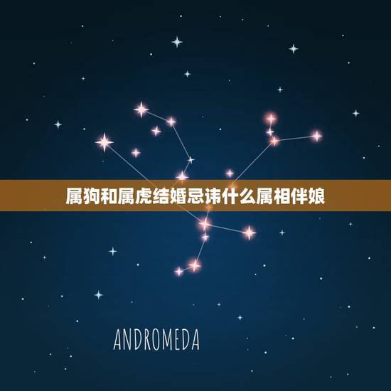 属狗和属虎结婚忌讳什么属相伴娘,属虎的可以当伴娘吗 哪些生肖不适合当伴 属狗和属虎结婚忌讳什么属相伴娘,属虎的可以当伴娘吗 哪些生肖不适合当伴