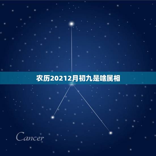 农历20212月初九是啥属相,本月农历初九是属什么的日子? 农历20212月初九是啥属相,本月农历初九是属什么的日子?