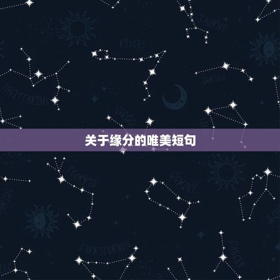 关于缘分的唯美短句，缘分的句子唯美短句子