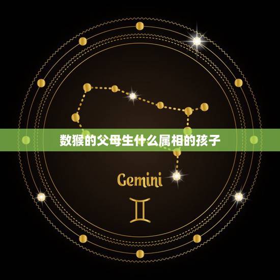 数猴的父母生什么属相的孩子,父亲属猴母亲属狗孩子属什么好 数猴的父母生什么属相的孩子,父亲属猴母亲属狗孩子属什么好