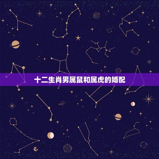 十二生肖男属鼠和属虎的婚配，男属鼠与女属虎配吗
