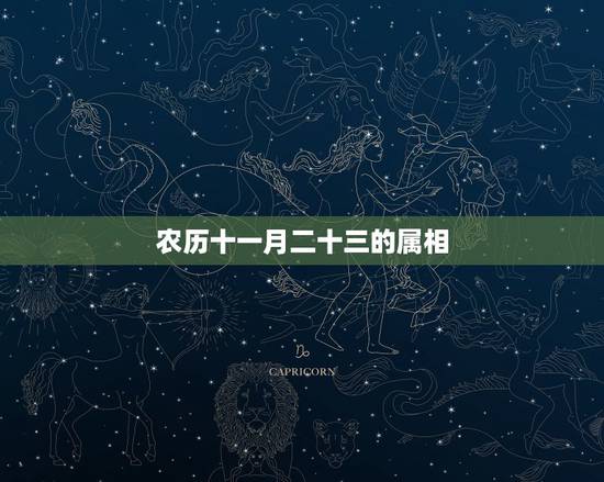 农历十一月二十三的属相,阴历十一月二十三生日的人幸运数字和幸运颜色是什 农历十一月二十三的属相,阴历十一月二十三生日的人幸运数字和幸运颜色是什