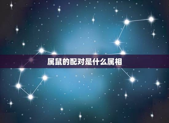 属鼠的配对是什么属相,属鼠男配什么属相的才合适呢 属鼠的配对是什么属相,属鼠男配什么属相的才合适呢