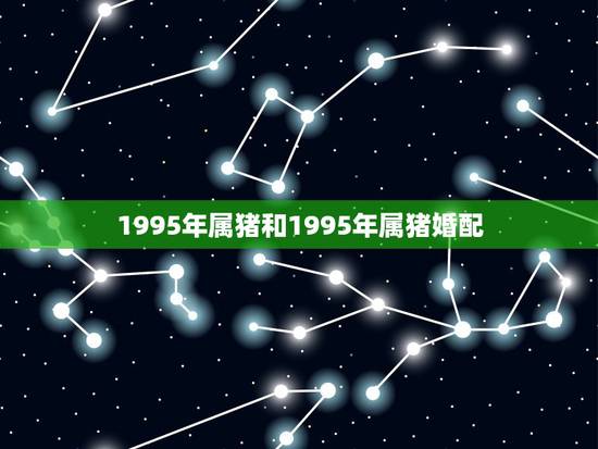 1995年属猪和1995年属猪婚配,1995年属猪的与同年的人婚姻配吗 1995年属猪和1995年属猪婚配,1995年属猪的与同年的人婚姻配吗