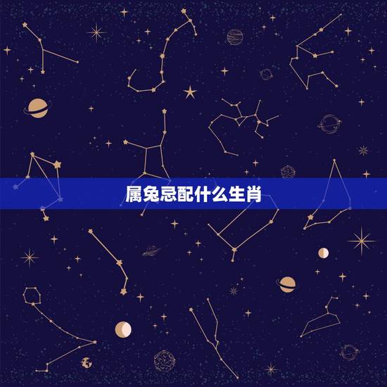 属兔忌配什么生肖，生肖兔最怕哪个生肖