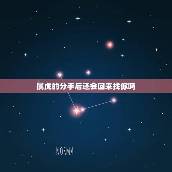 属虎的分手后还会回来找你吗，生息虎在感情中从不肯轻易妥协，分手后该如何