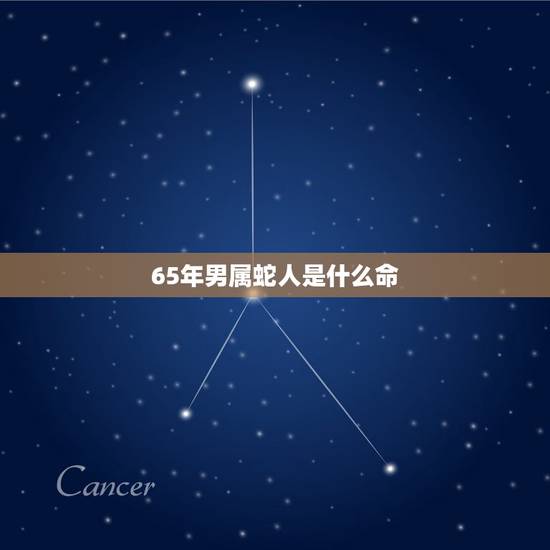 65年男属蛇人是什么命,六五年属蛇的是什么命 65年男属蛇人是什么命,六五年属蛇的是什么命