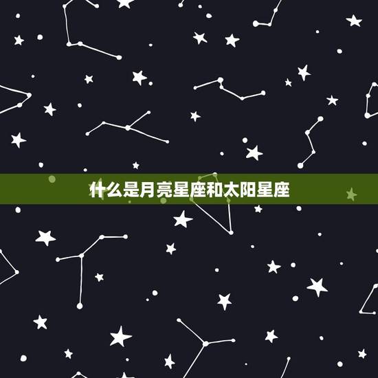什么是月亮星座和太阳星座，我是1月9日凌晨4点生的 请问我的太阳星座和