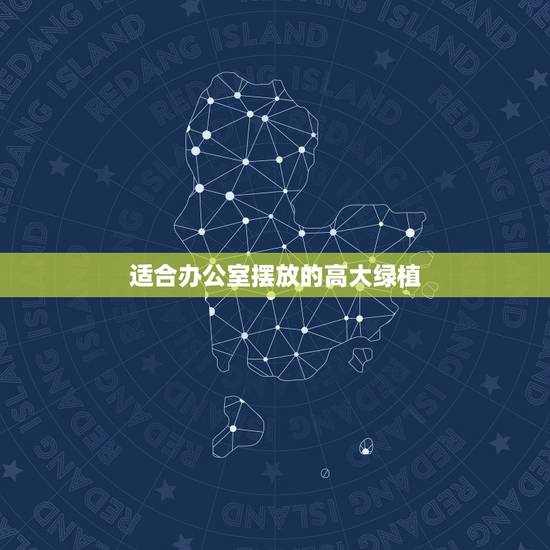 适合办公室摆放的高大绿植,办公室摆放绿植有风水讲究吗? 适合办公室摆放的高大绿植,办公室摆放绿植有风水讲究吗?