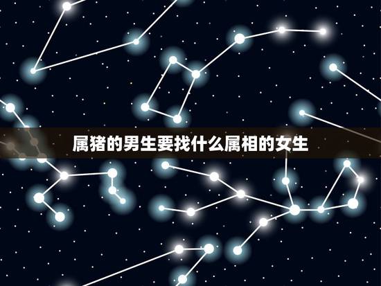 属猪的男生要找什么属相的女生,属猪的男生与哪个生肖女生最配 属猪的男生要找什么属相的女生,属猪的男生与哪个生肖女生最配