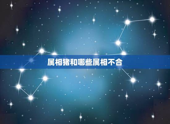 属相猪和哪些属相不合,属猪的和什么属相不配? 属相猪和哪些属相不合,属猪的和什么属相不配?
