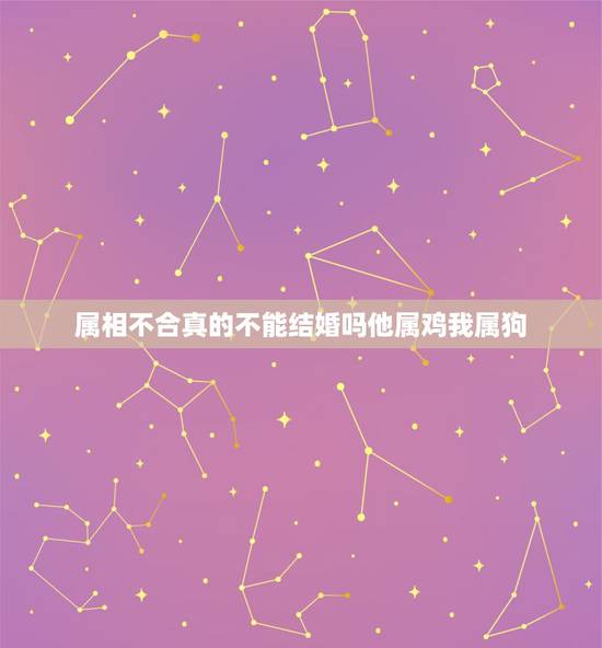 属相不合真的不能结婚吗他属鸡我属狗，属鸡和属狗的不能结婚吗？