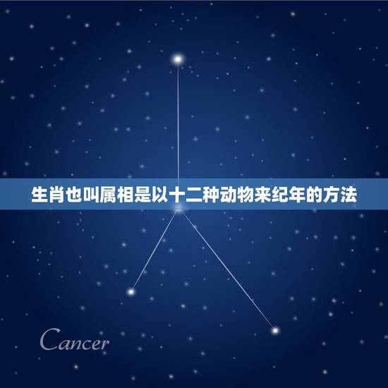生肖也叫属相是以十二种动物来纪年的方法,2012年每月属什么生肖 生肖也叫属相是以十二种动物来纪年的方法,2012年每月属什么生肖
