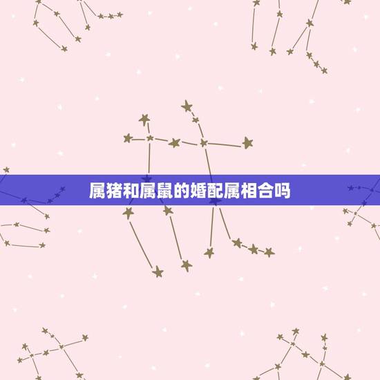 属猪和属鼠的婚配属相合吗，属猪与属鼠相配吗？