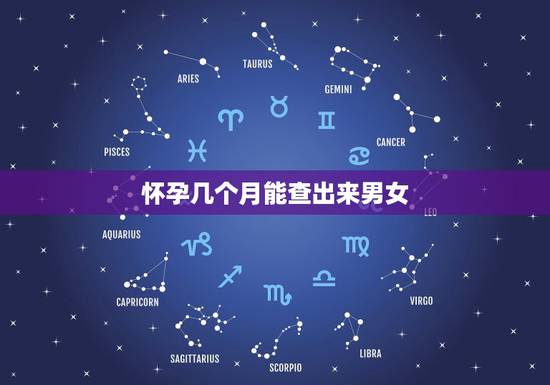 怀孕几个月能查出来男女,怀孕几周可以做b超看出男女 怀孕几个月能查出来男女,怀孕几周可以做b超看出男女