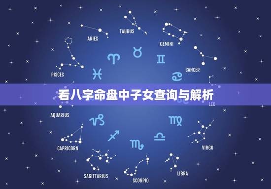 看八字命盘中子女查询与解析，求高手帮看个人紫薇12宫位 命盘 星盘 生