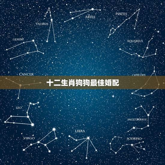 十二生肖狗狗最佳婚配,属狗和什么属相最配 属狗的属相婚配表大全 十二生肖狗狗最佳婚配,属狗和什么属相最配 属狗的属相婚配表大全