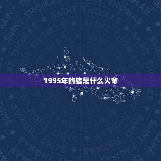 1995年的猪是什么火命，请问1995年属猪的，是什么命，
