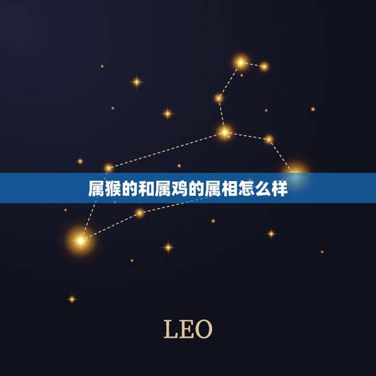 属猴的和属鸡的属相怎么样,属猴的和属鸡的相冲吗 属猴的和属鸡的属相怎么样,属猴的和属鸡的相冲吗