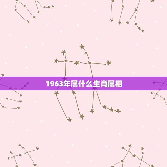 1963年属什么生肖属相,1963年属什么,1963年属相 1963年属什么生肖属相,1963年属什么,1963年属相