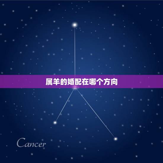 属羊的婚配在哪个方向，1991年属羊婚配方位