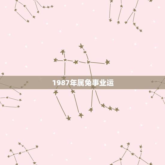 1987年属兔事业运,1987年属兔的命运 1987年属兔事业运,1987年属兔的命运