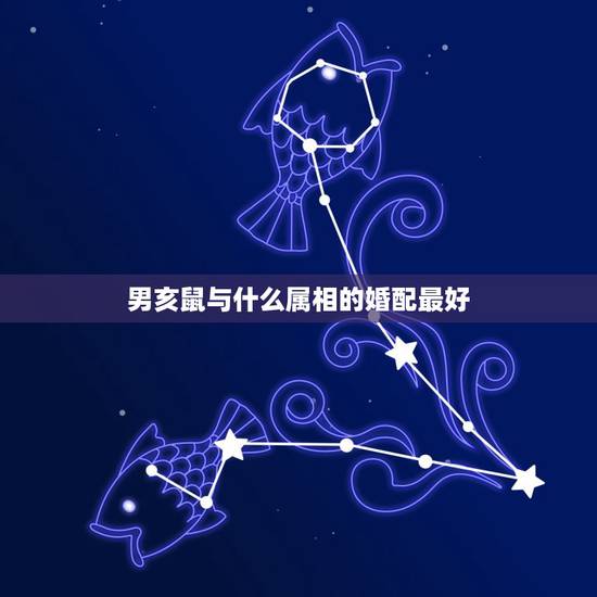 男亥鼠与什么属相的婚配最好,男属鼠和什么生肖最配 男亥鼠与什么属相的婚配最好,男属鼠和什么生肖最配