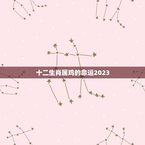 十二生肖属鸡的命运2023，2023年鼠年属鸡的与什么属相合成金局？