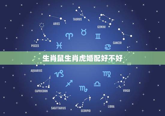 生肖鼠生肖虎婚配好不好，属鼠和属虎的婚配好吗？