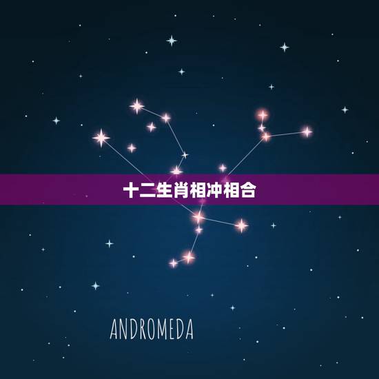 十二生肖相冲相合，十二生肖相刑相害