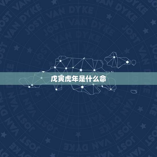 戊寅虎年是什么命,属虎1998年的男孩命运 戊寅虎年是什么命,属虎1998年的男孩命运
