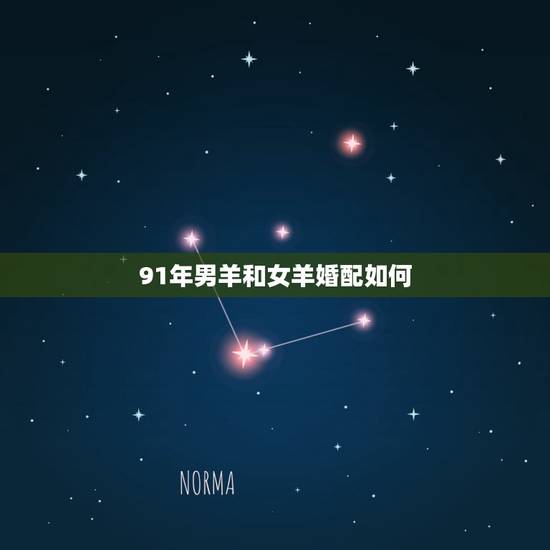91年男羊和女羊婚配如何，91年男羊和91年女羊相配吗